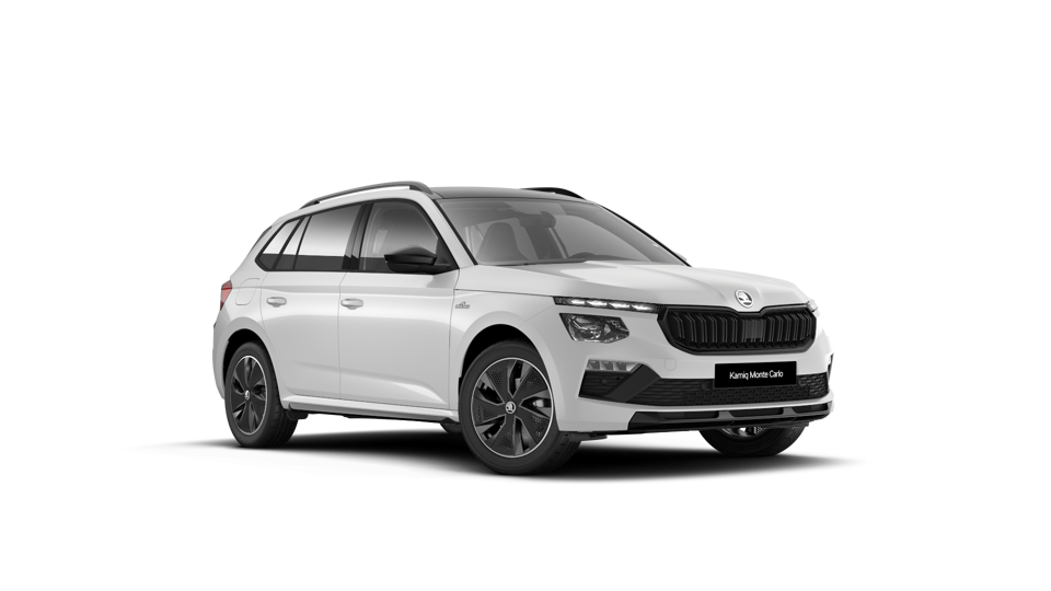 Kamiq Monte Carlo